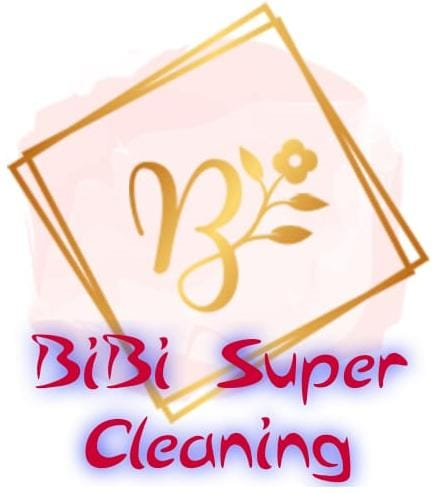 bibicleaning.com